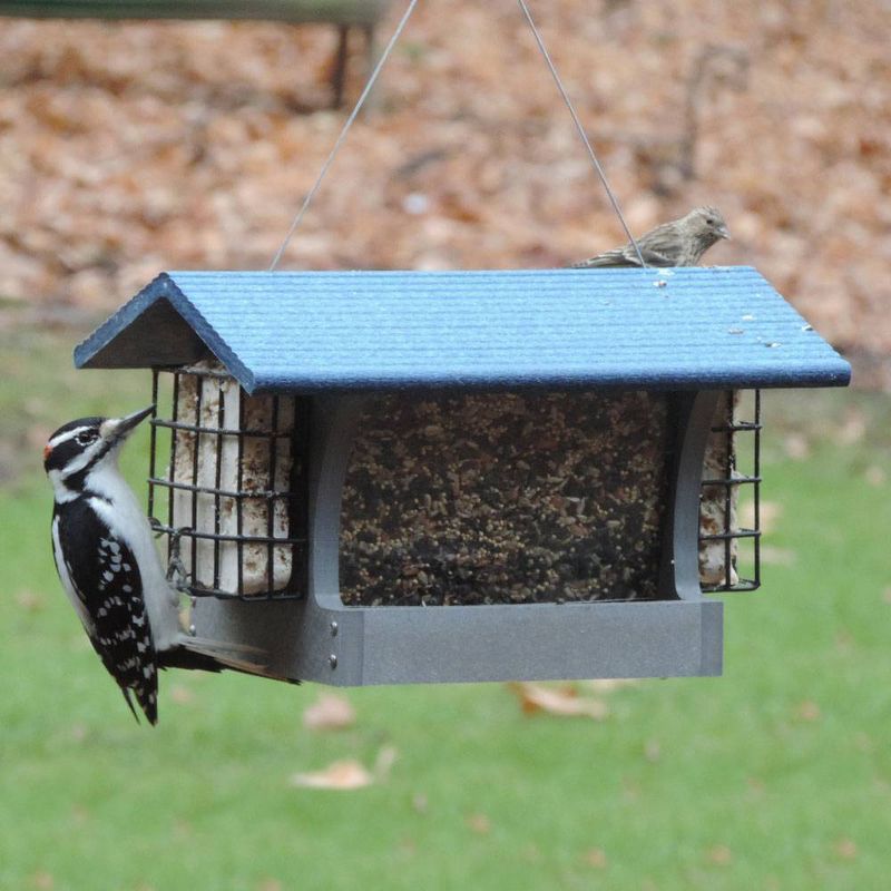 Fruit Feeder - ANCIENT GRAFFITI