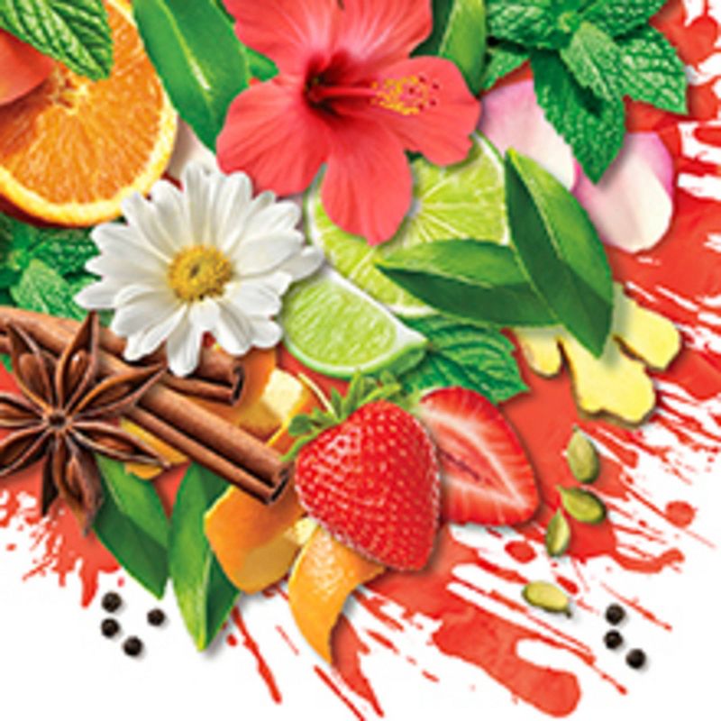 Tazo Organic Chai Tea - 20ct