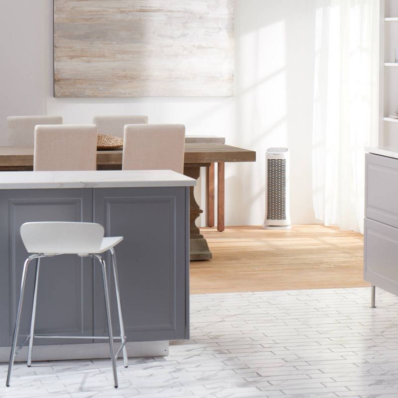 Honeywell HFD300 AirGenius 3 Air Purifier/Odor Reducer