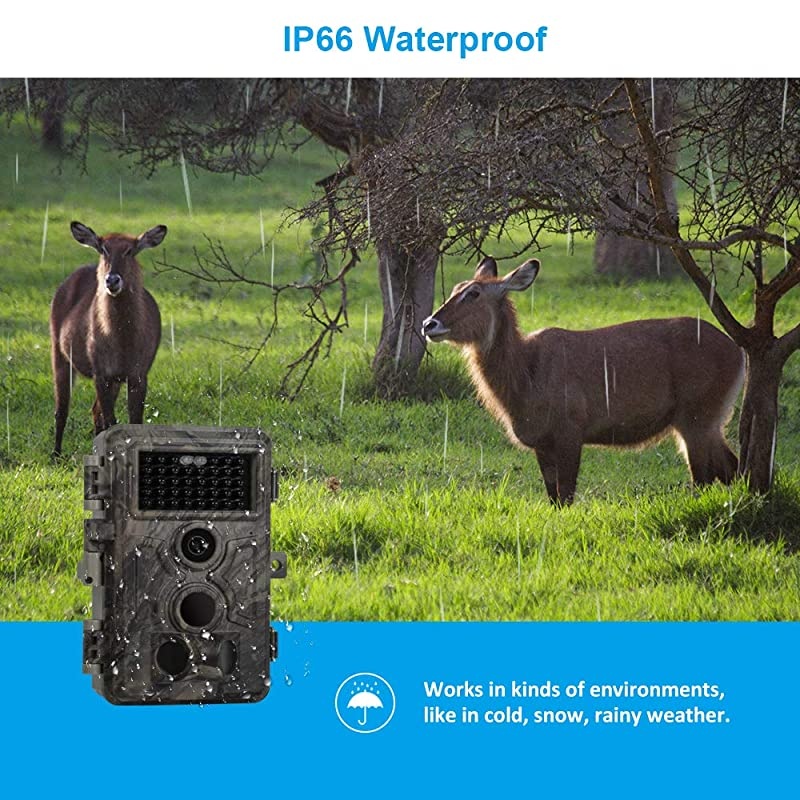 Game Trail Camera 20MP 1080P Fast 0.2S Motion Activated 75ft No Glow Night Vision Waterproof Cam for Wildlife Deer Trail Outdoor Critter Animal Scouting