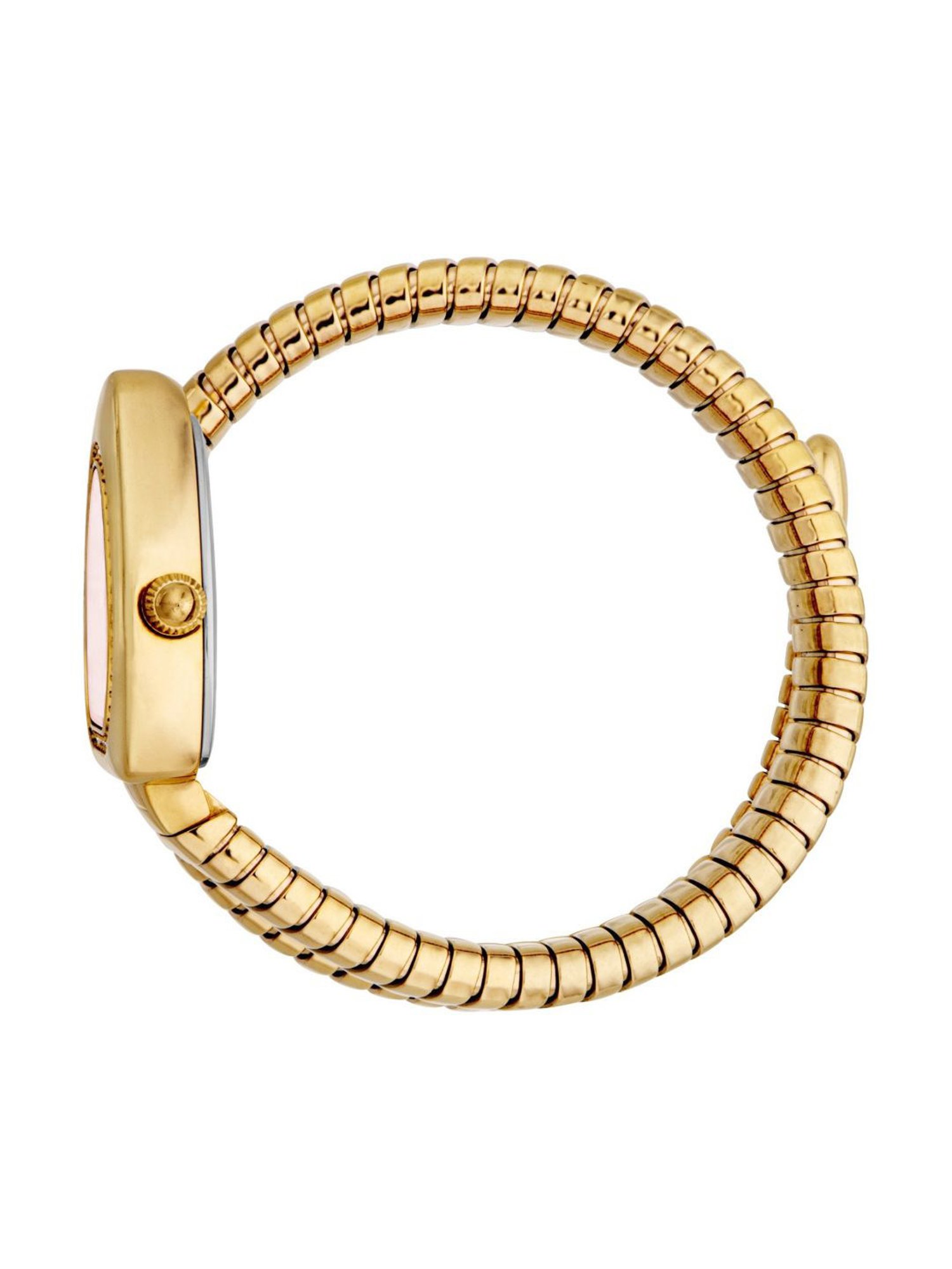 Just Cavalli JC1L249M0025 Analog Watch for Women