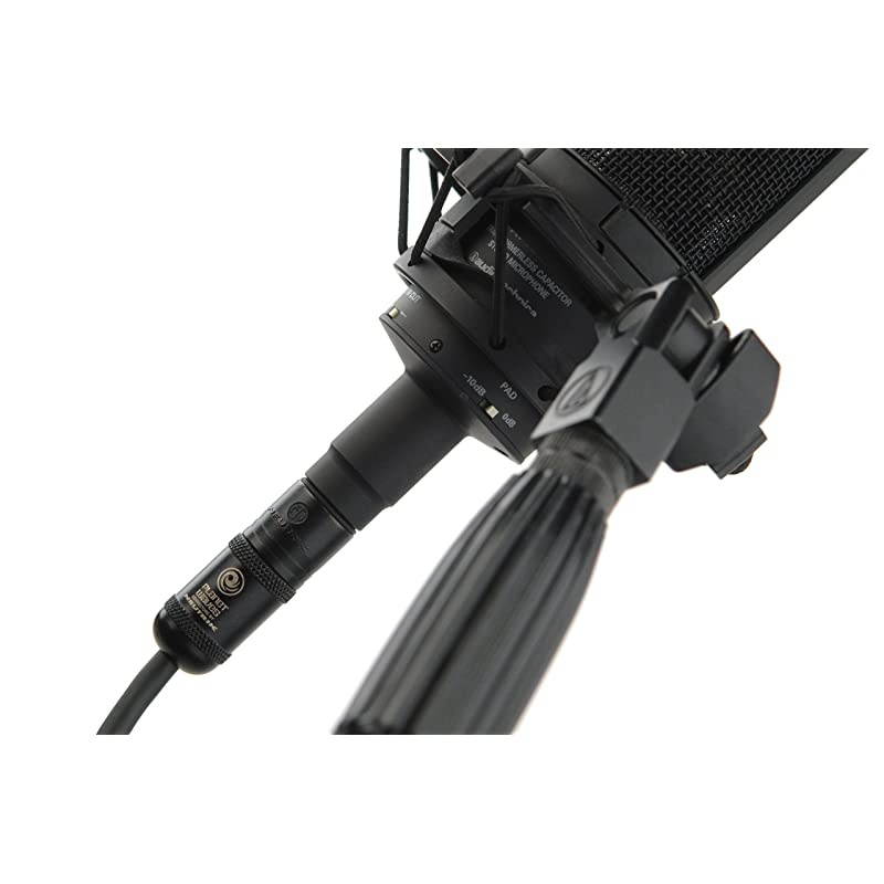 Waves American Stage Series Microphone Cable XLR Male to XLR Female 10 feet