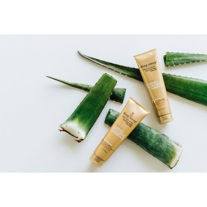 Deep Steep Argan Hydrating Volume Shampoo - 10 fl oz