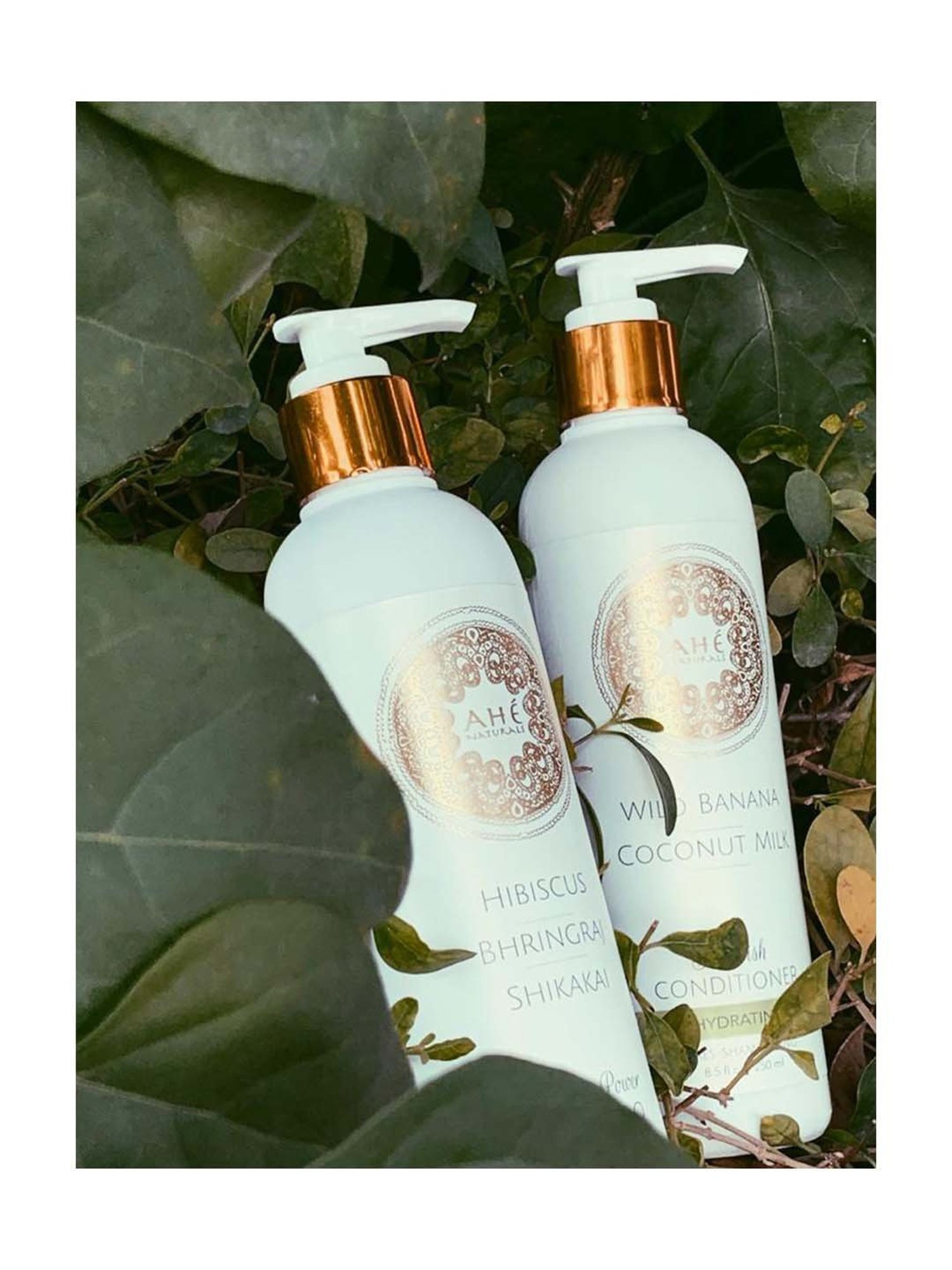 Ahe Naturals Wild Banana & Coconut Milk Nourishing Conditioner - 250 ml