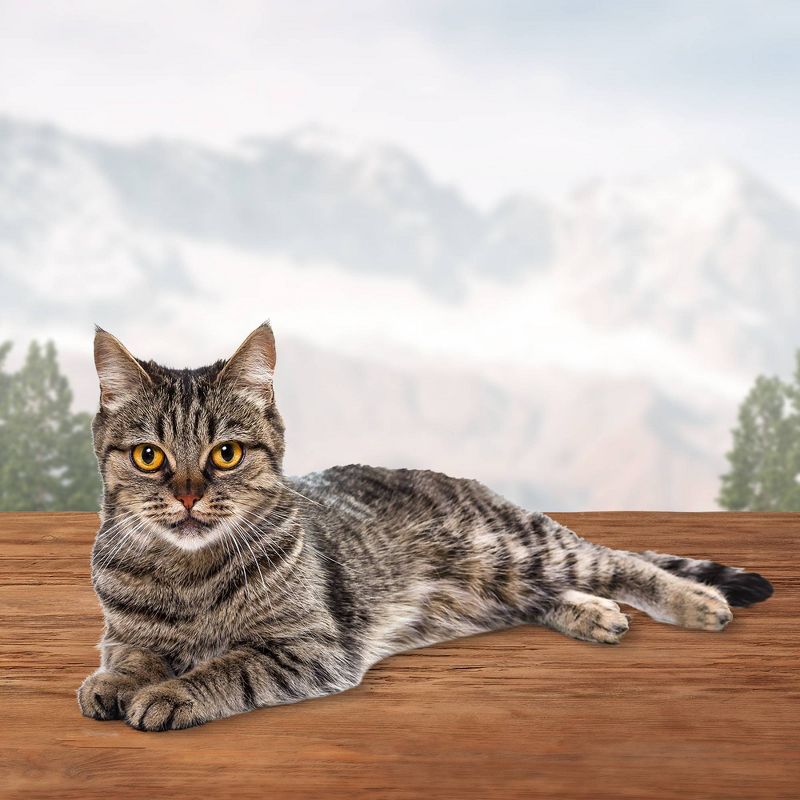 Blue Buffalo Wilderness Grain Free Chicken & Turkey Recipe Crunchy Cat Treats - 2oz