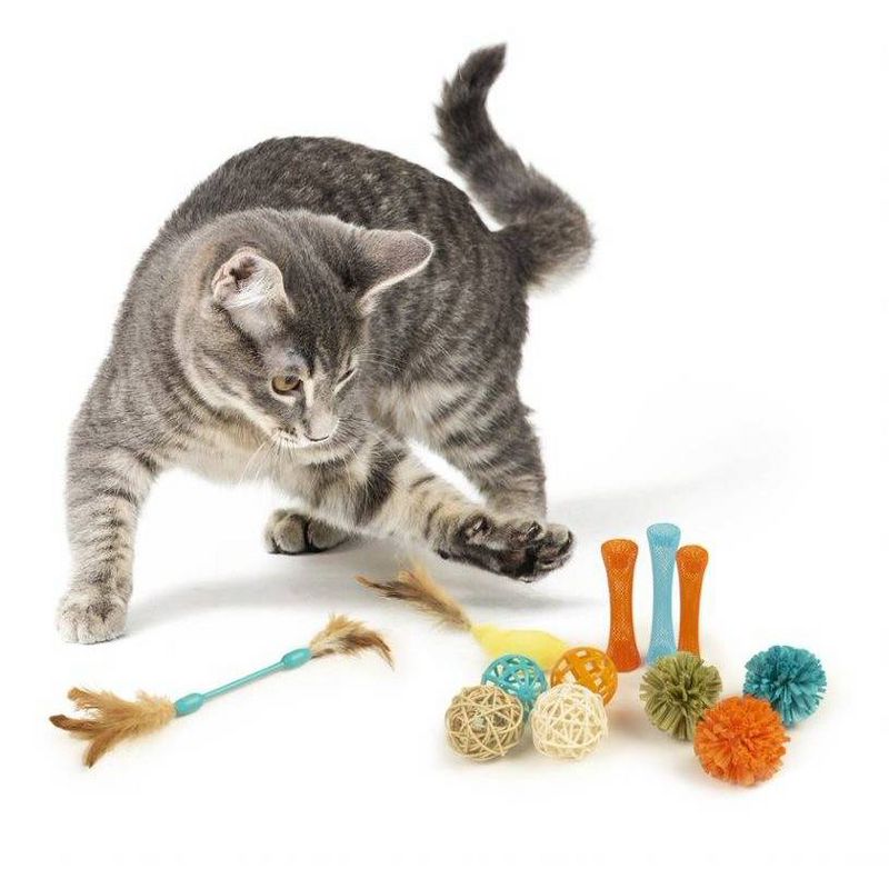 Petlinks Play Value Pack Cat Toy