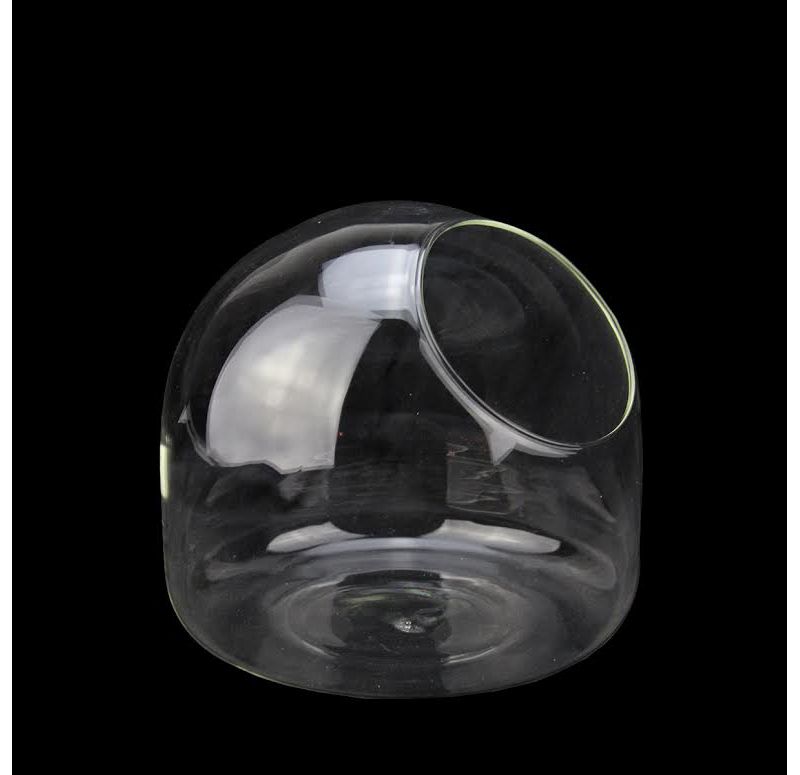 Napa Home & Garden 6" Round Orb Glass Indoor Terrarium Planter - Clear