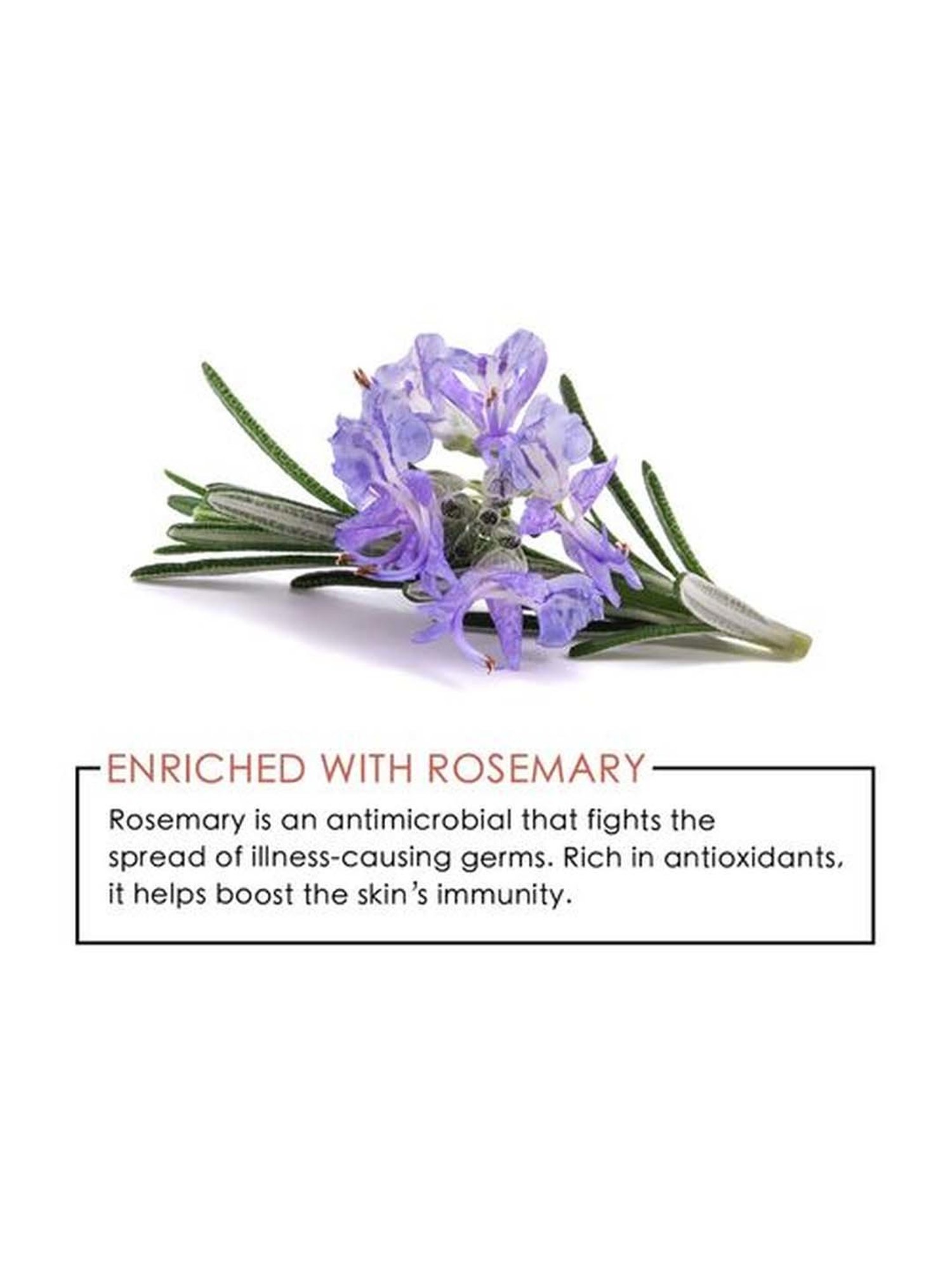 Dromen & Co Magic Cotton Pads - 50 Sheets