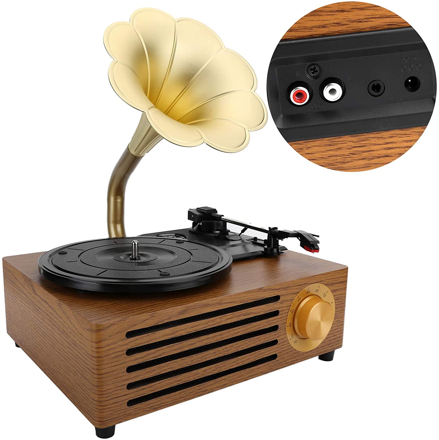 Vintage Petunias Record Player Bluetooth Turntable with 3 Built in Stereo Speakers USB Recording Phonograph