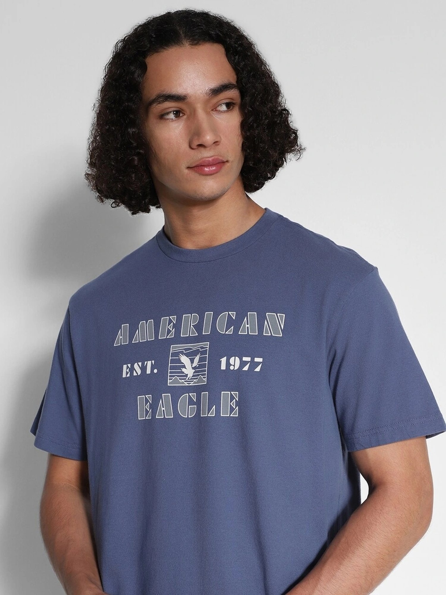 American Eagle Blue Cotton Regular Fit Printed T-Shirt