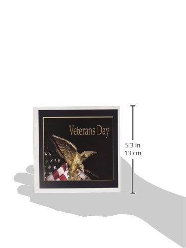 3dRose Greeting Cards, Veterans Day, Soaring Eagle with American Flag, Set of 6 (gc_12181_1)