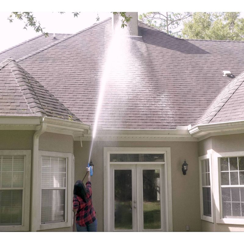 BISSELL 22 floz Oxy Stain Destroyer Pet For Carpet and Upholstery