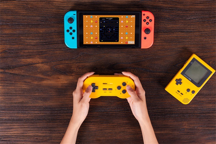 8Bitdo Lite Bluetooth Gamepad for Nintendo Switch Lite, Nintendo Switch & Windows (Turquoise Edition)