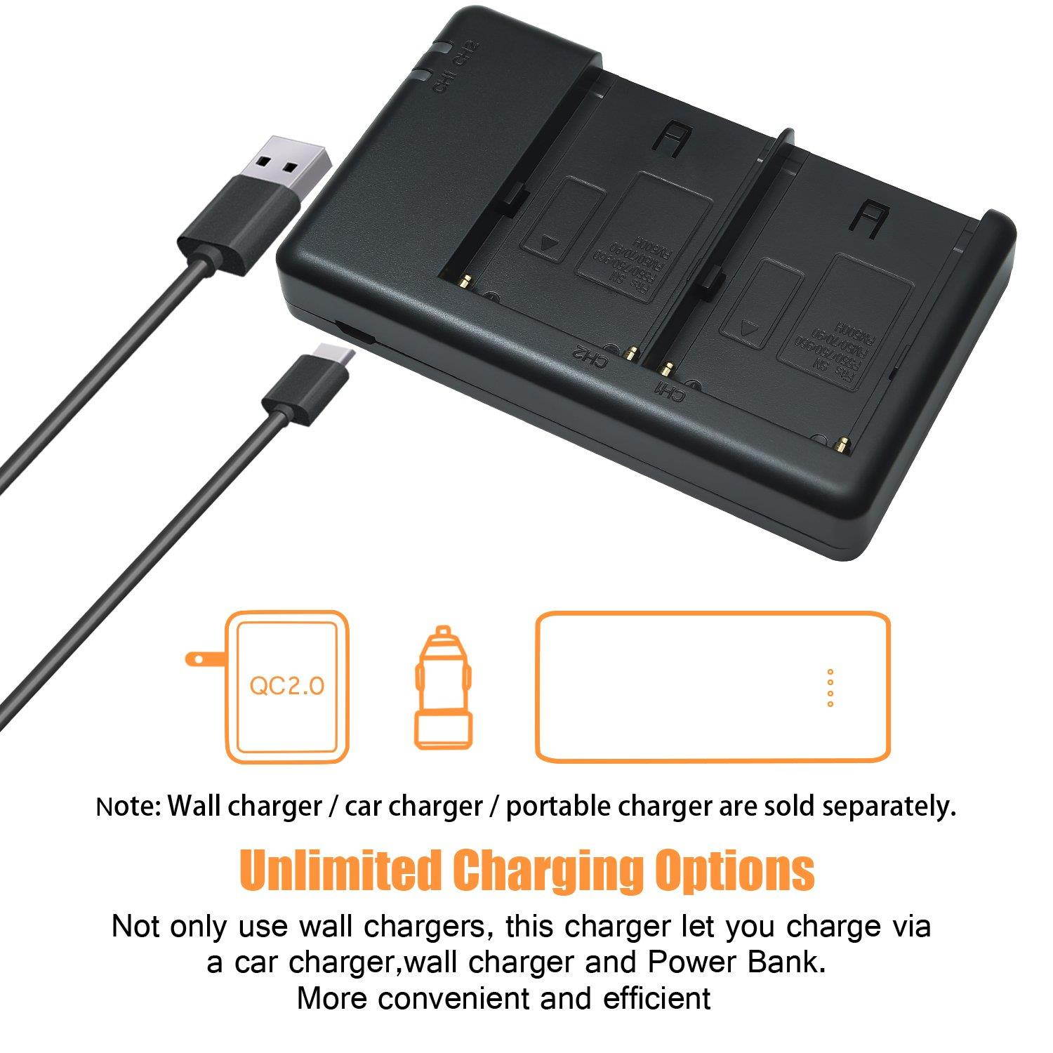 DSTE Replacement for 2X NP-F750 Battery + Rapid Dual Battery Charger with Micro USB Cable Compatible Sony CCD-TRV215 CCD-TR917 CCD-TR315 HDR-FX1000 HDR-FX7 HVR-V1U HVR-Z7U HVR-Z5U as NP-F730 NP-F770