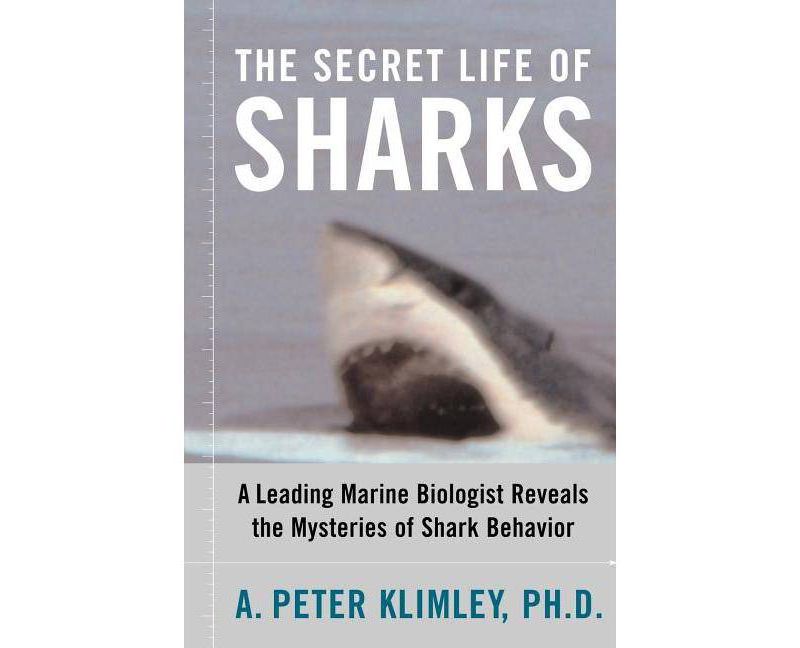 Hiset Practice Test Preparation Book 2020 and 2021 - 2 Hiset Exam Practice Tests for All Subjects - (Paperback)