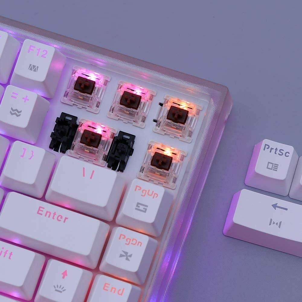 EPOMAKER HS84 84 Keys Wired RGB Hot Swappable Mechanical Keyboard with Translucent ABS Case, Shine Through Legend for Win/Mac/Gamers (Gateron Black Switch, White)