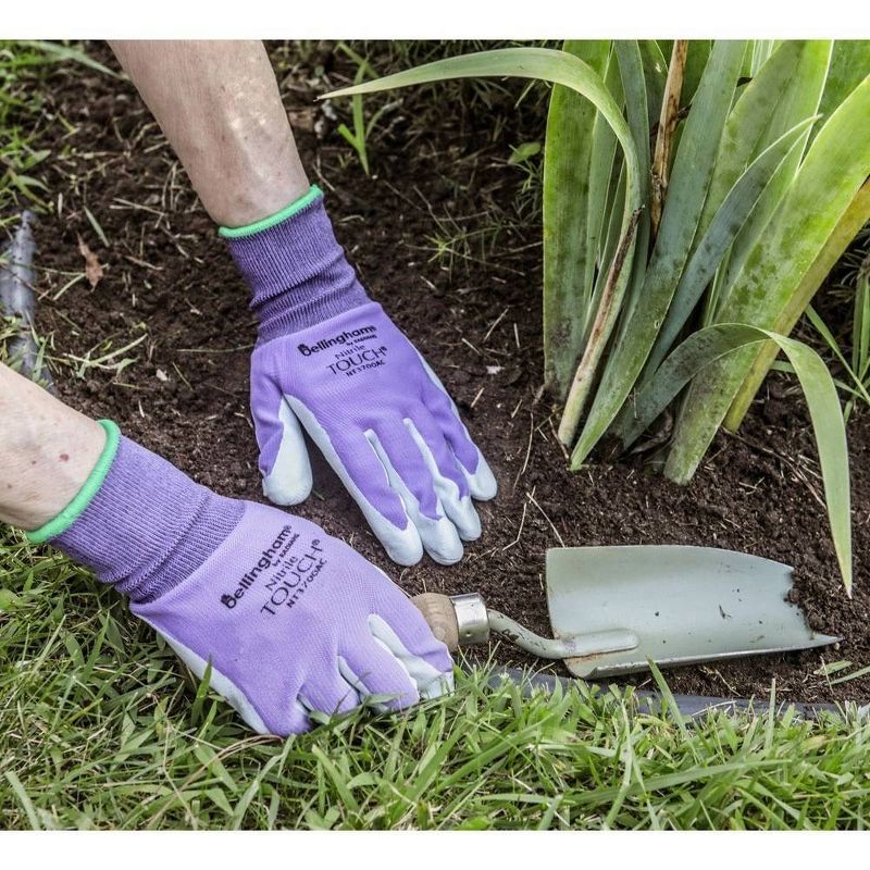 Bird's Choice Atlas Glove NT370A6M Medium Atlas Nitrile Touch Gloves, Assorted