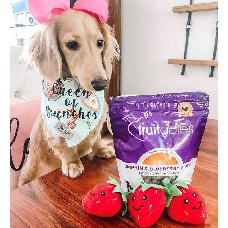 Fruitables Baked Pumpkin and Blueberry Flavor Healthy Low Calorie Dog Treats - 7oz