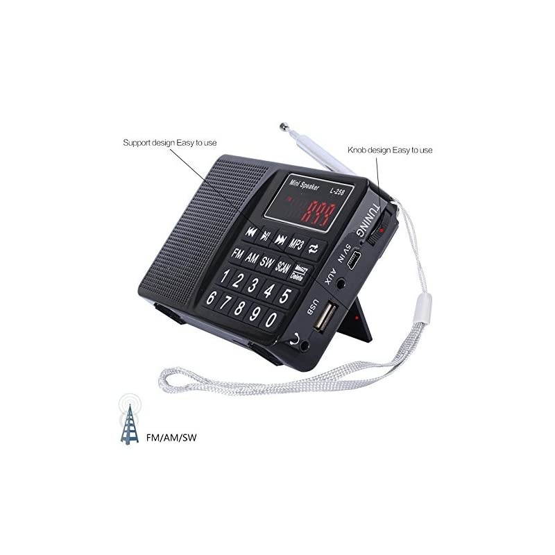 Portable Mini AM FM Radio Clear Speaker Music Player (L-258 Black)