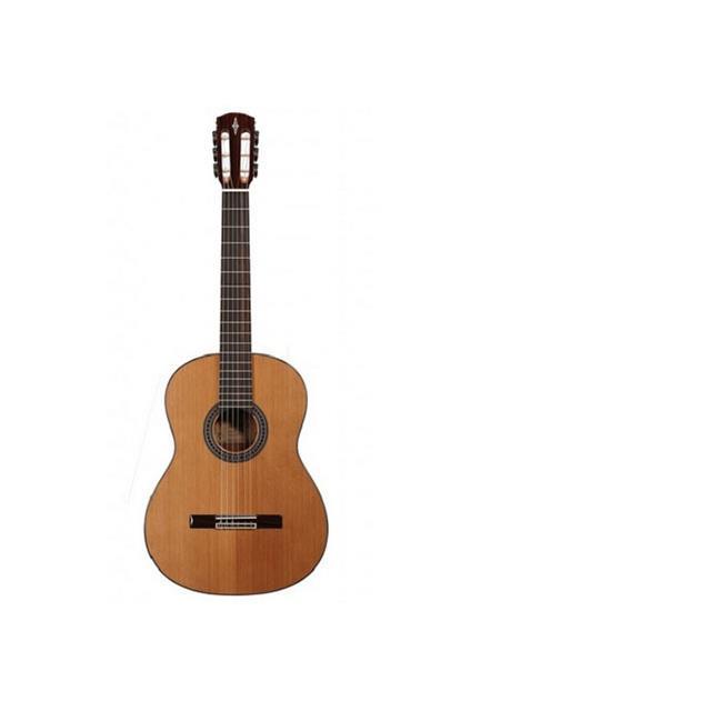 Alvarez Classical Acoustic Electric w/cutaway AC65