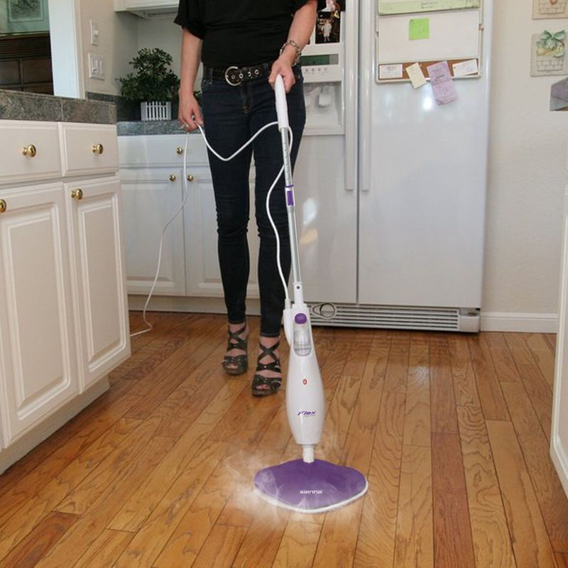 BISSELL ProHeat 2X Lift-Off Pet Upright Carpet Cleaner - 15651