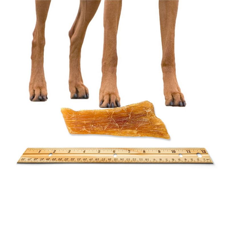 Nature Gnaws Paddywack Tendons Beef Dog Treats- 10ct