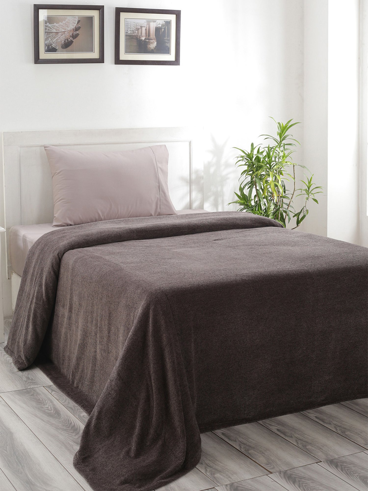 Maspar Colorart Charlotte Solid Grey 110 TC Cotton Blend Single Bed Cover