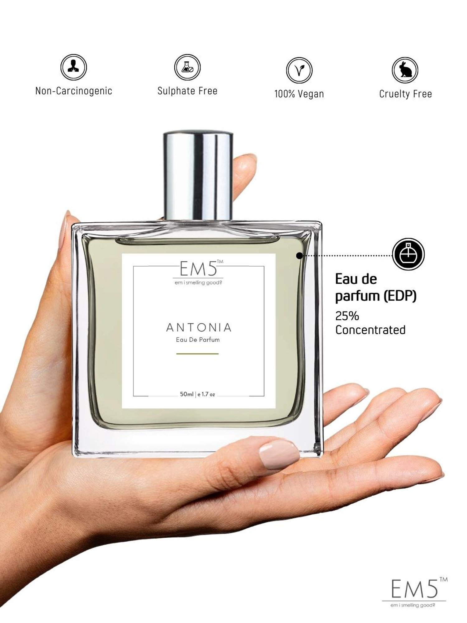 EM5 Antonia Eau de Parfum for Men - 50 ml