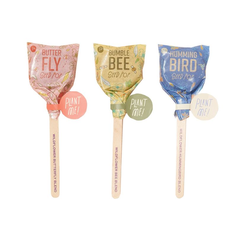 Modern Sprout Pollinator Seed Pop - 10 pk