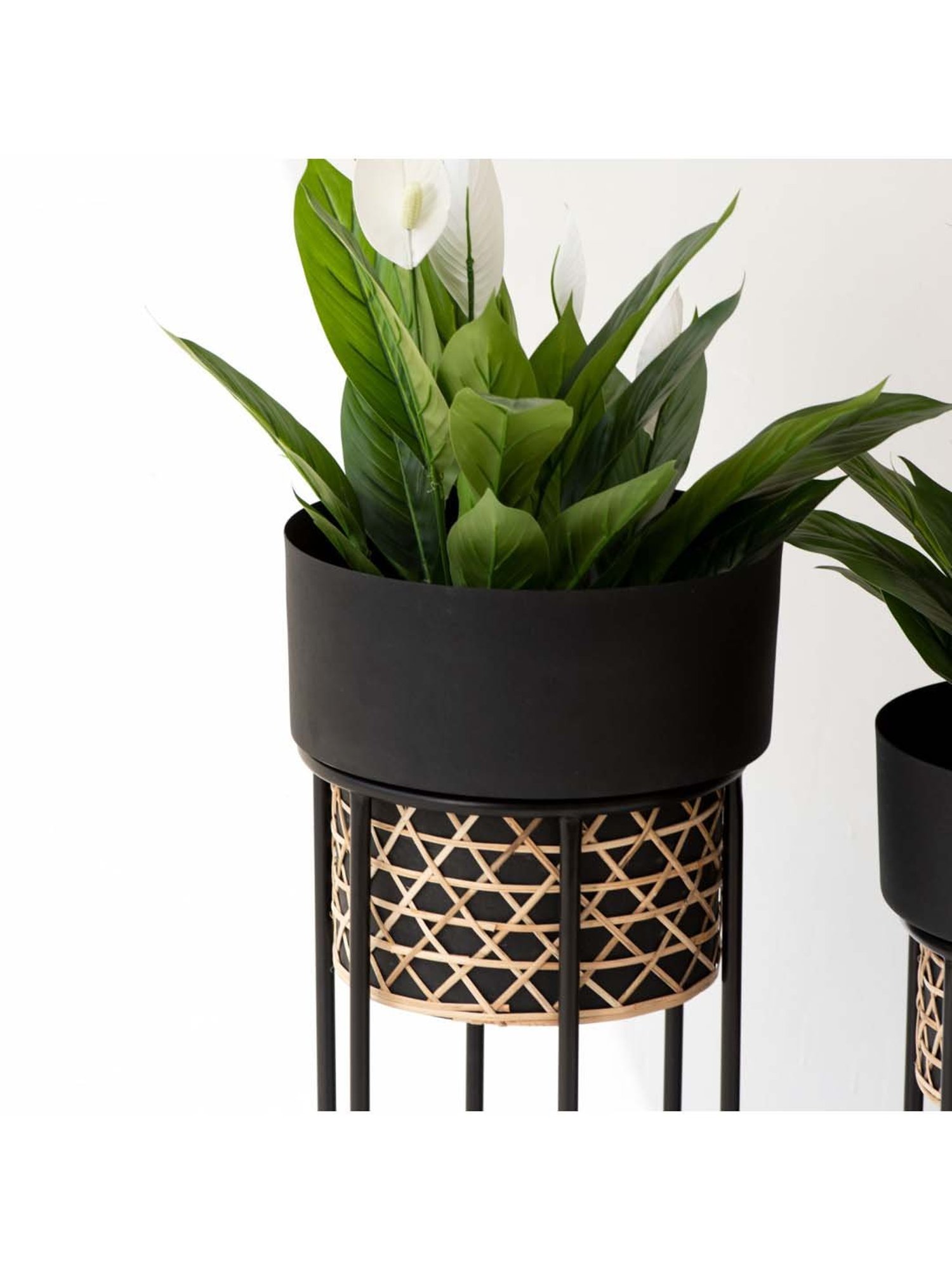 THE DECOR REMEDY Matt Black Iron Handwork Cane Planter with Stand - Set of 2