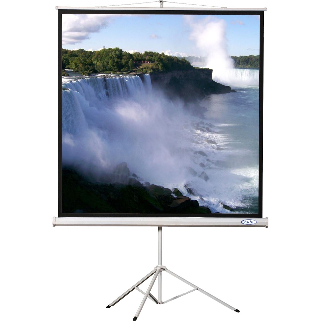 Hamilton TPS-T96 Square Format Projector Screen