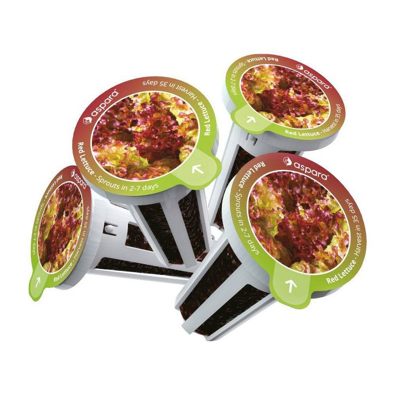Aspara KLS0001 8 Capsule Seed Kit - Red Lettuce