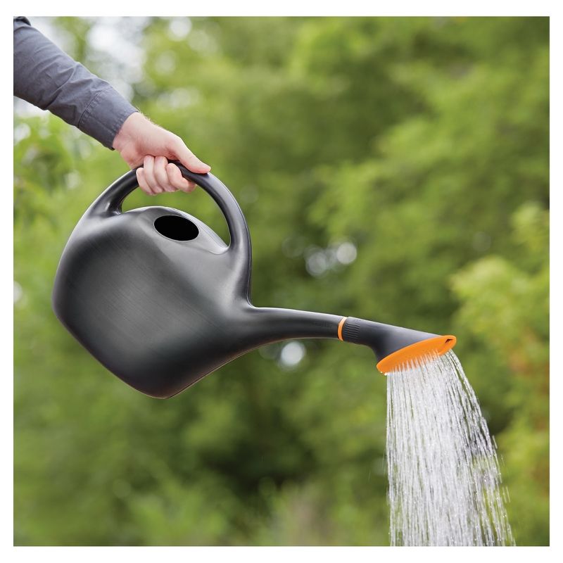 Blue Rose Polish Pottery Spring Tulip Watering Can