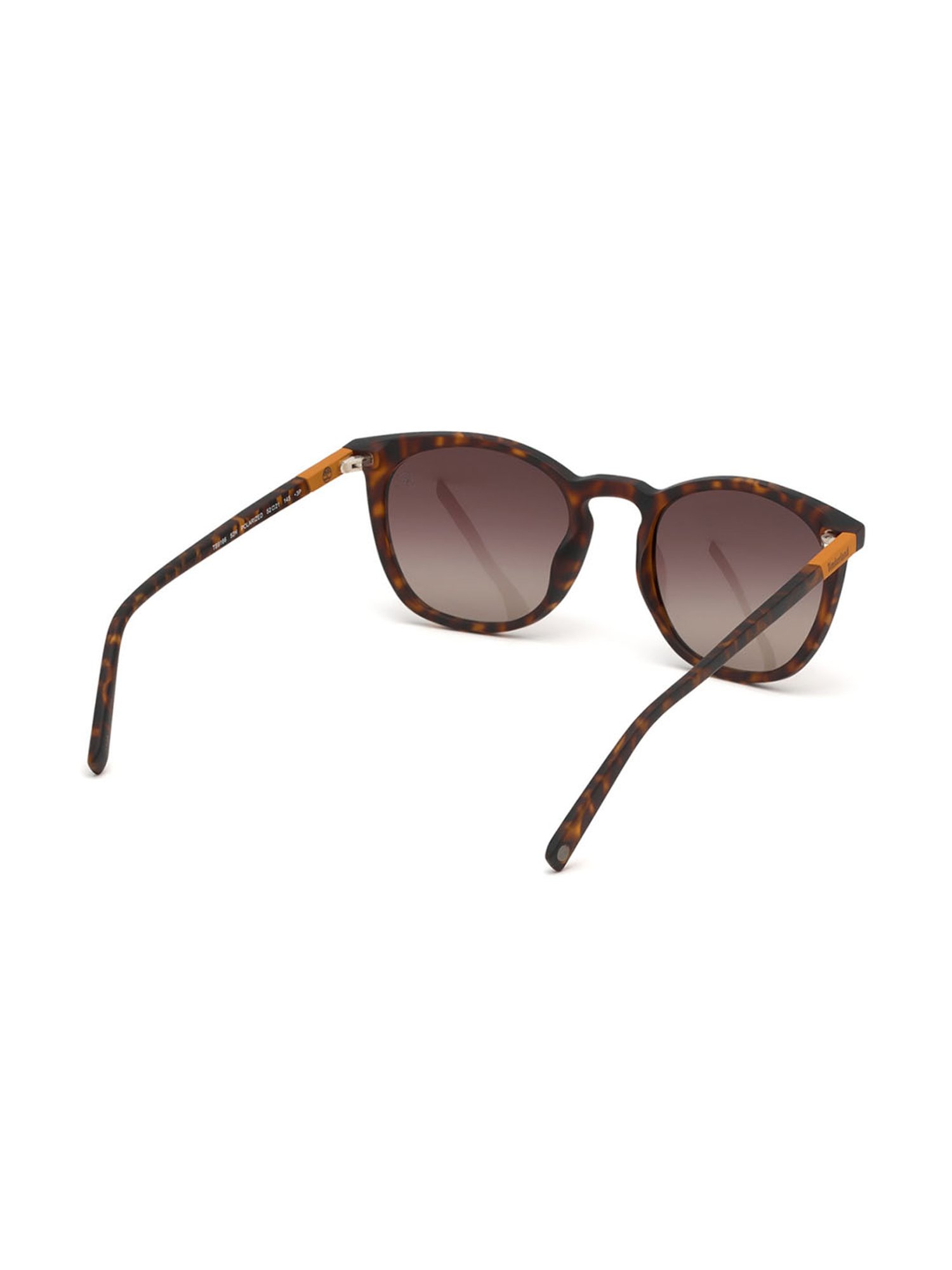 Timberland Brown Wayfarer Sunglasses for Men