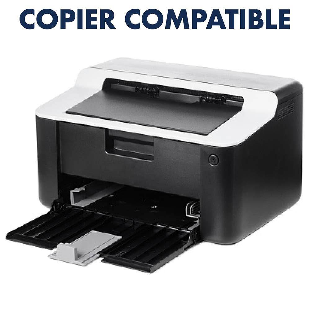 Apollo Transparency Film for Plain Paper Copier, Black on Clear Sheet, without Stripe, 100 Sheets/Pack (VPP100CE)