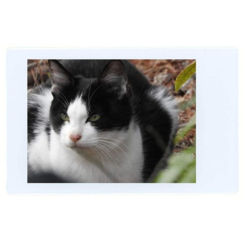 Instax Mini Instant Film (3 Twin Packs, 60 Total Pictures) for Instax Cameras