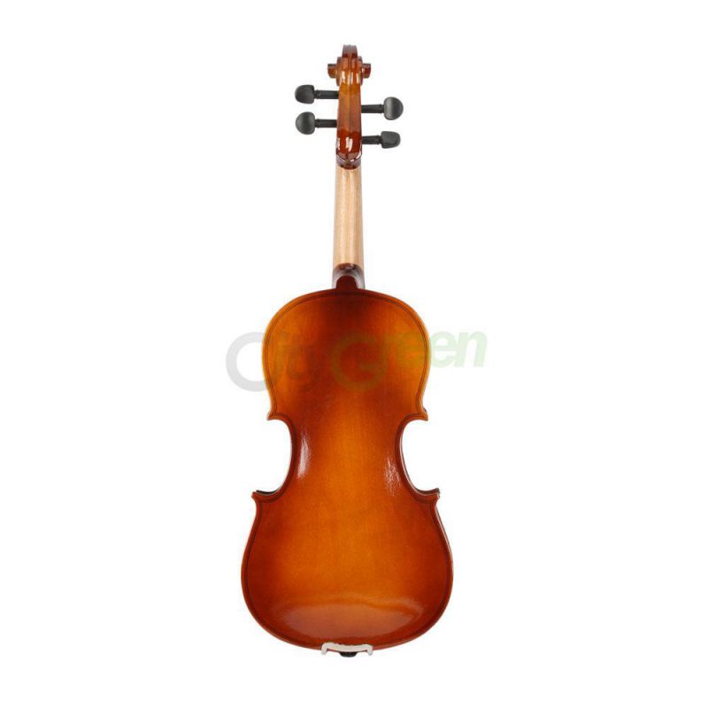 New Music Profession Acoustic Violin 3/4 Full Size Natural  + Case + Rosin + Bow