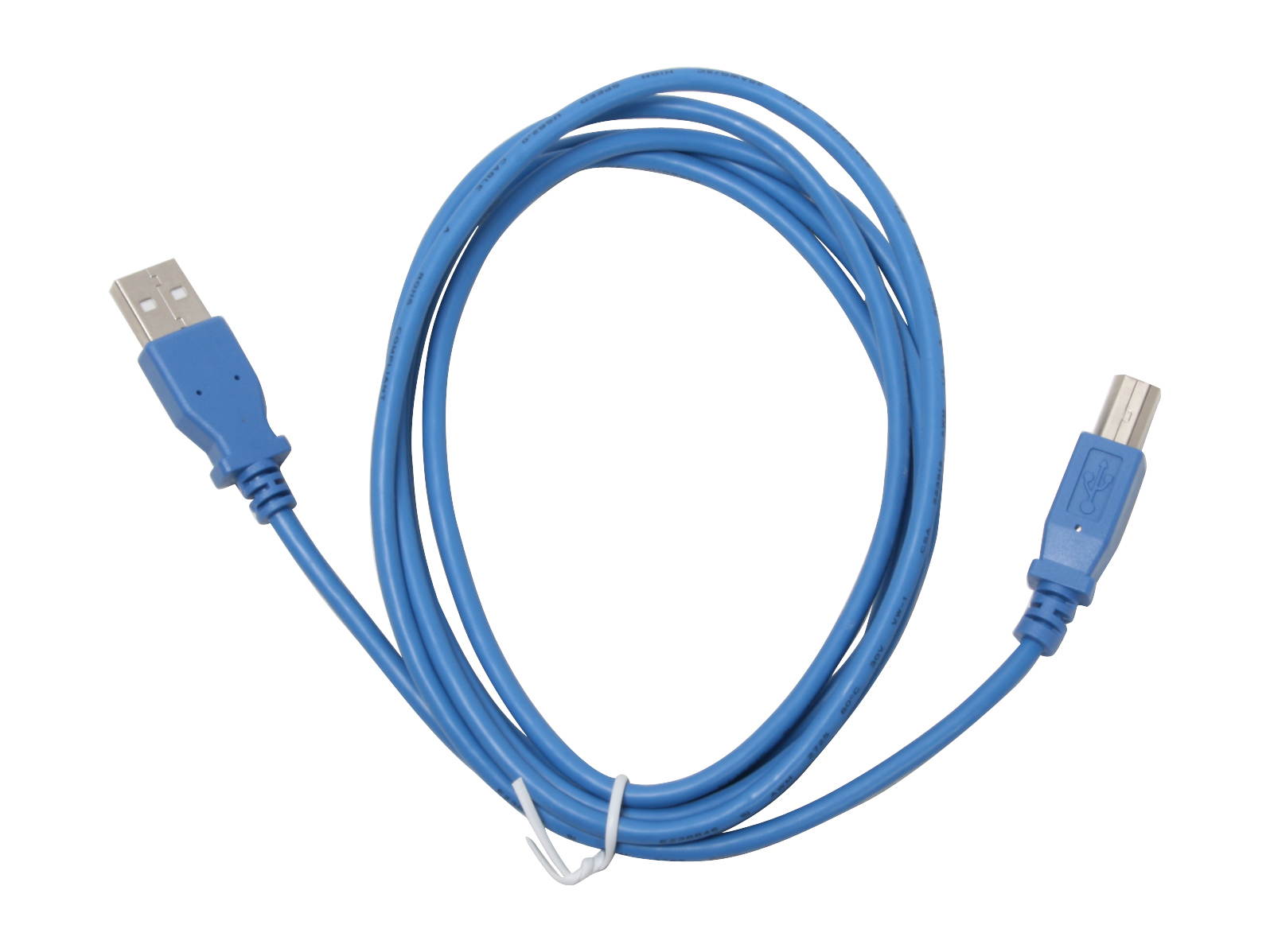 BYTECC USB2-6AB-B Type A Male to Type B Male  Cable