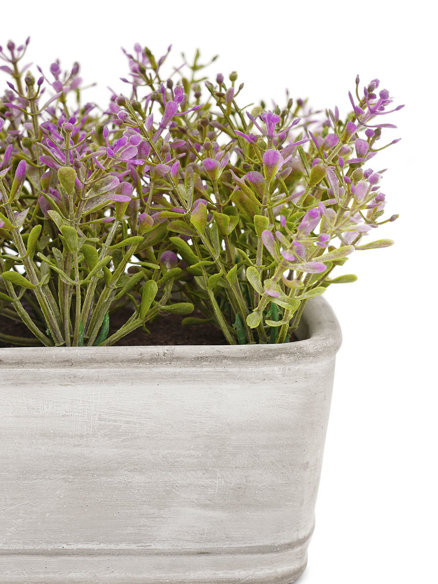 Pure Home and Living Purple Plastic Potted Plants