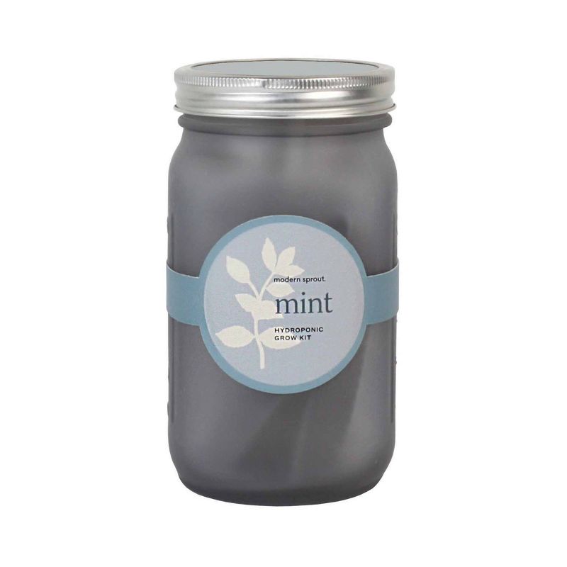 Modern Sprout Glass Jar Grow Set - Basil + Mint