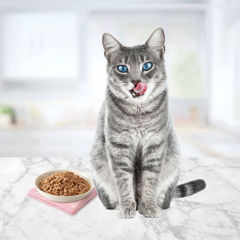 Fancy Feast Petites Braised Chicken Pate Wet Cat Food - 2.8oz