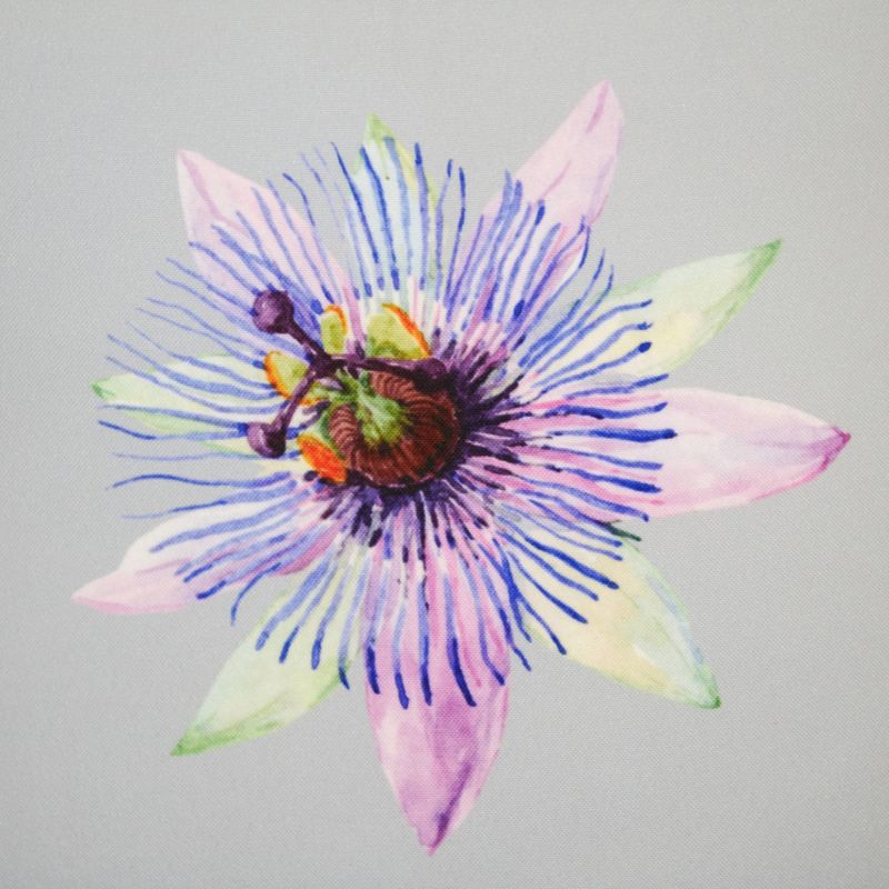 20" x 20" Pretty Protea Ribbon Decorative Patio Throw Pillow - Edie@Home