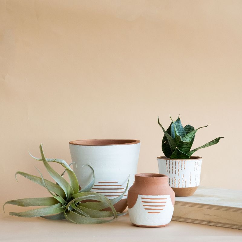 White Painted Natural Terracotta Decorative Bud Vase - Foreside Home & Garden