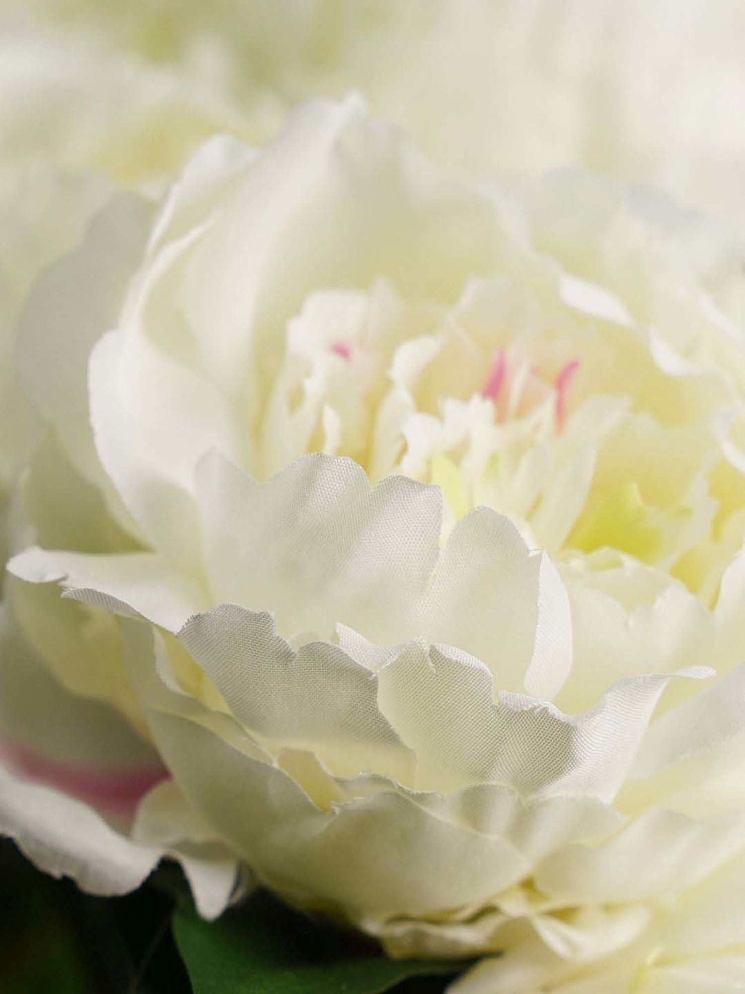 Pure Home and Living Ivory Plastic Artificial Peony Flower Stem