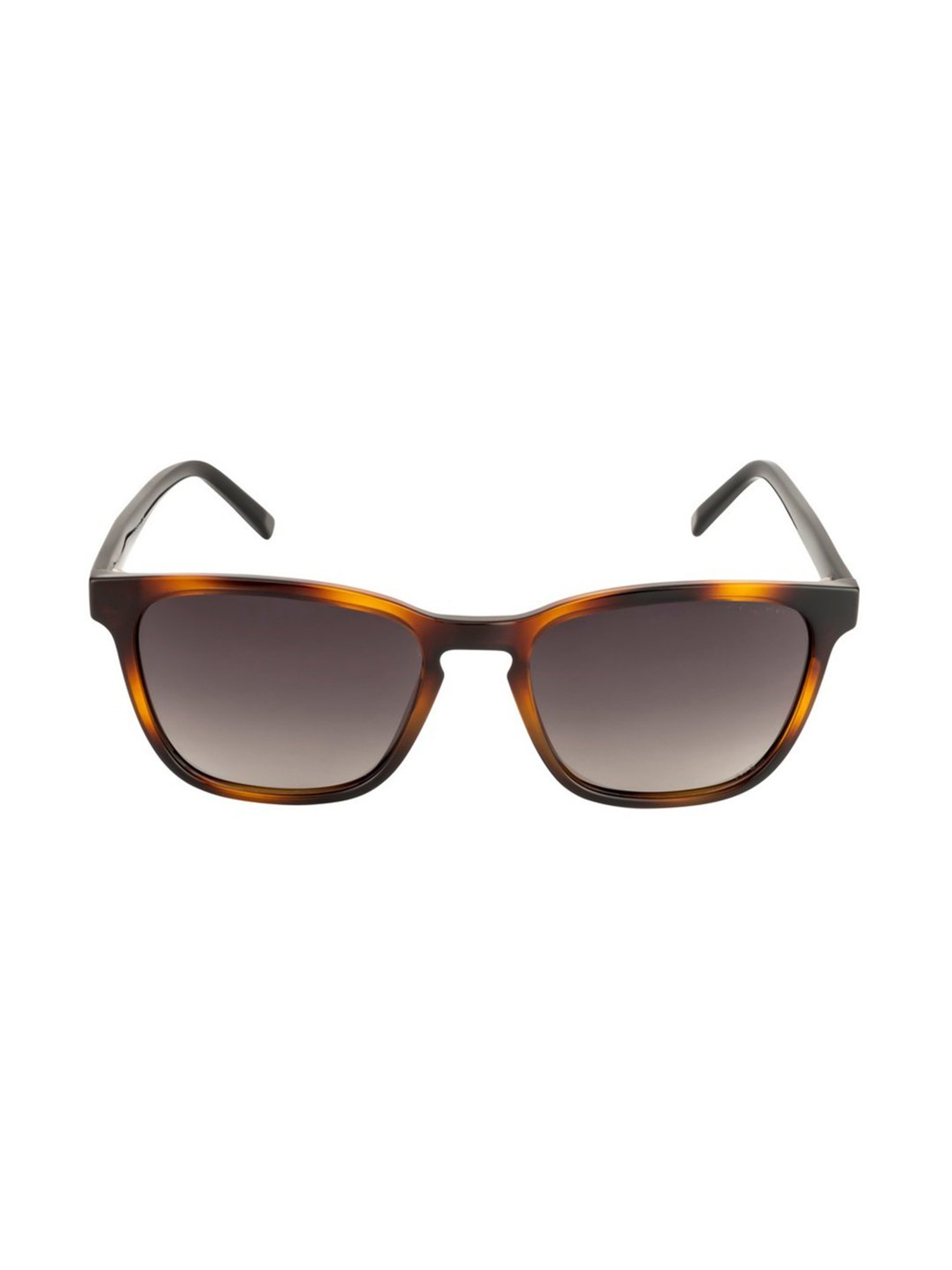 Opium Brown Wayfarer Sunglasses for Men