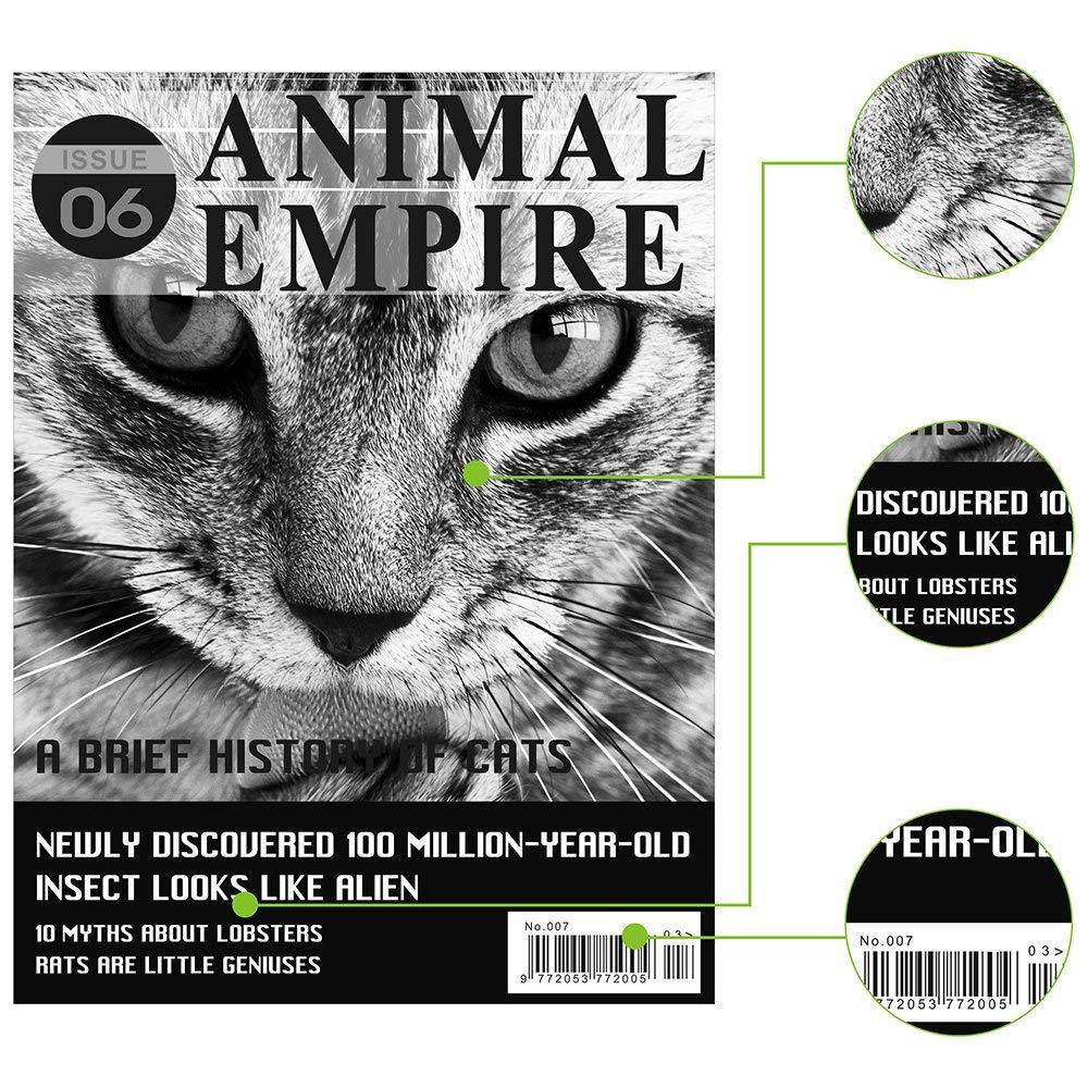 Aztech 2 Packs 05A CE505A Compatible 05A Toner Cartridge Replaces HP 2035 HP 05A CE505A HP Laserjet P2055DN P2035N P2055D P2055X Laserjet P2055 P2035 P2030 P205 2035 2055 Toner Ink Black