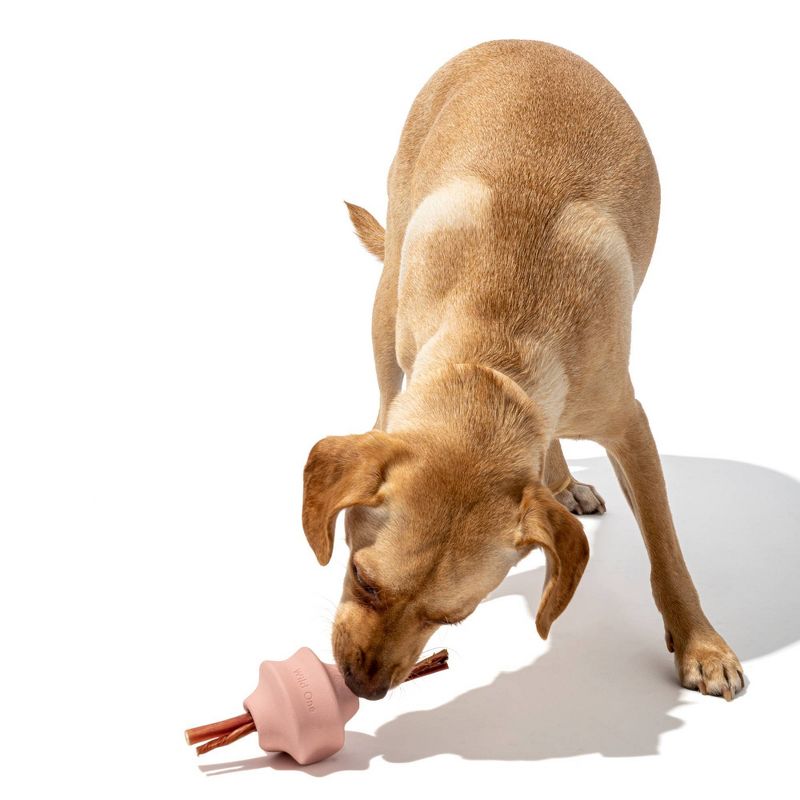 Wild One Twist Toss Interactive Dog Toy - Pink