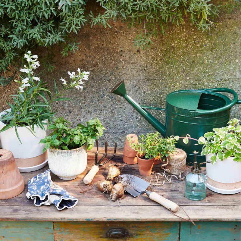 Watering Can - Brussel's Bonsai