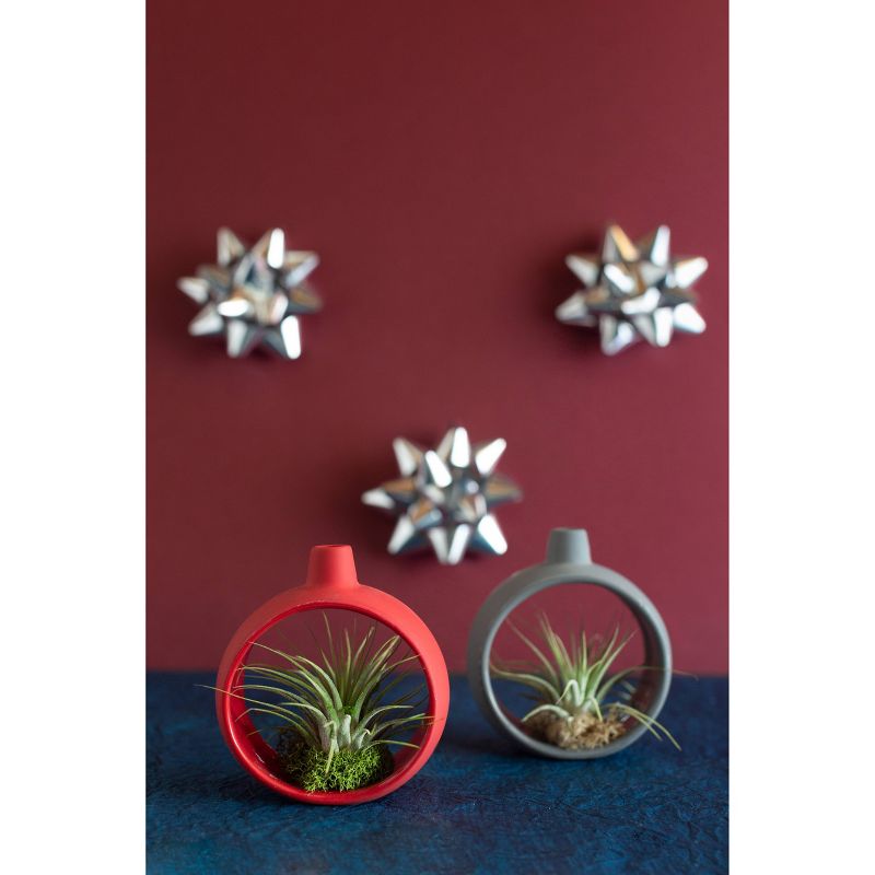 LiveTrends Fifth Day of Christmas - 4pk