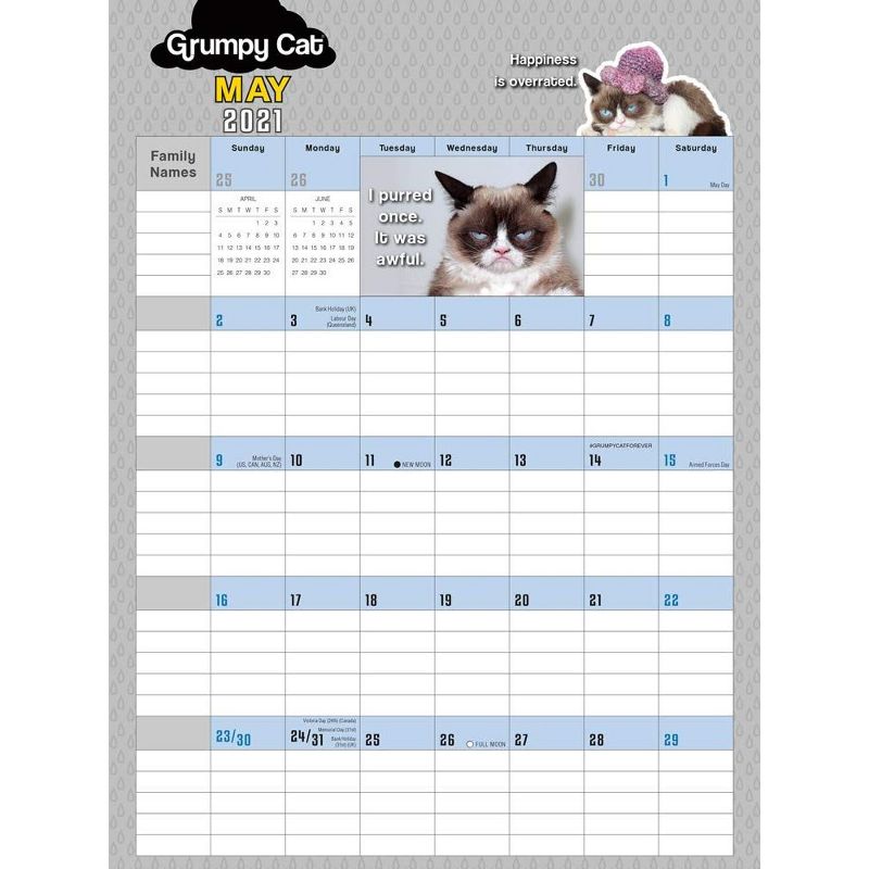 Sellers Publishing 2021 Grumpy Cat&Acirc;&reg; 17-Month Wall Calendar/Planner [Calendar] Grumpy Cat Limited